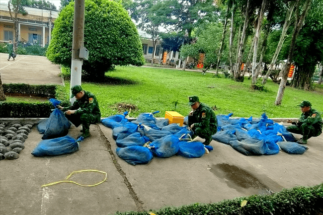 An Giang: Bắt giữ vụ vận chuyển 94 cá thể trong "Sách đỏ" qua biên giới