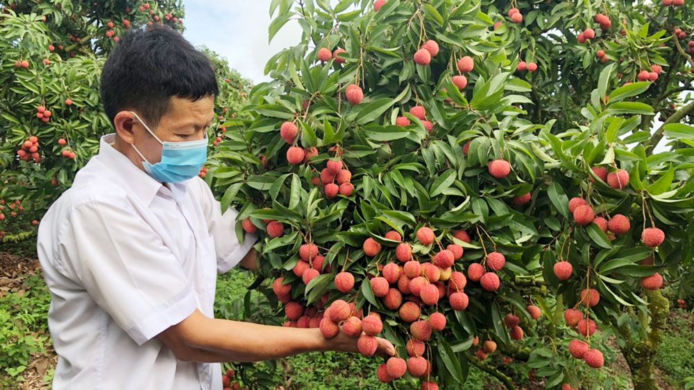 Đẩy mạnh các hoạt động quản lý Nhà nước về sở hữu trí tuệ