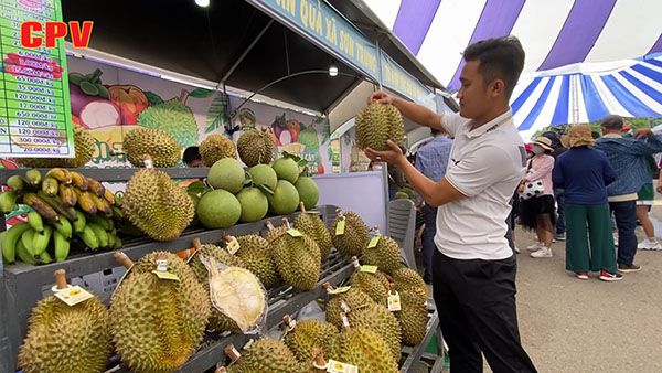 BẢN TIN THỜI SỰ NGÀY 6/8/2022