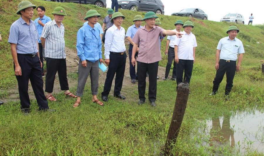 Chủ tịch UBND tỉnh Hải Dương: Thực hiện nghiêm công tác bảo vệ khu vực đê trọng yếu