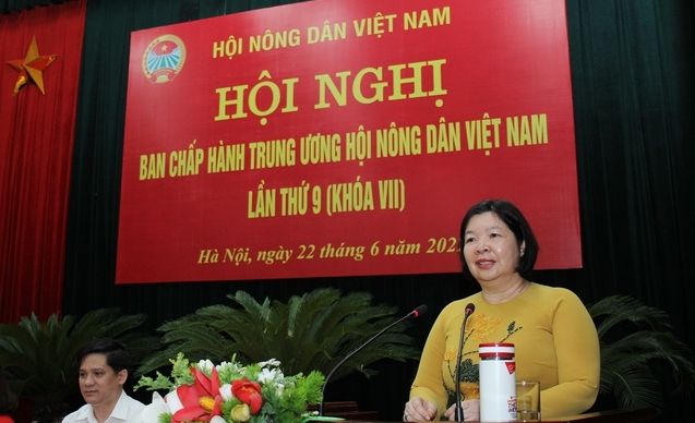 Miễn nhiệm Phó Chủ tịch UBND tỉnh Bạc Liêu