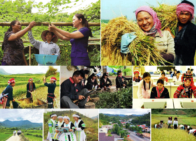 Hỗ trợ phát triển thương mại miền núi, hải đảo