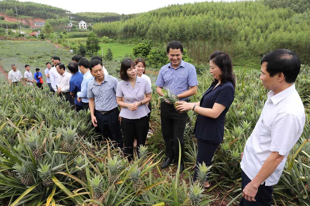 Đồng chí Thường trực Tỉnh ủy kiểm tra, chỉ đạo xây dựng và nâng cao chất lượng các sản phẩm OCOP