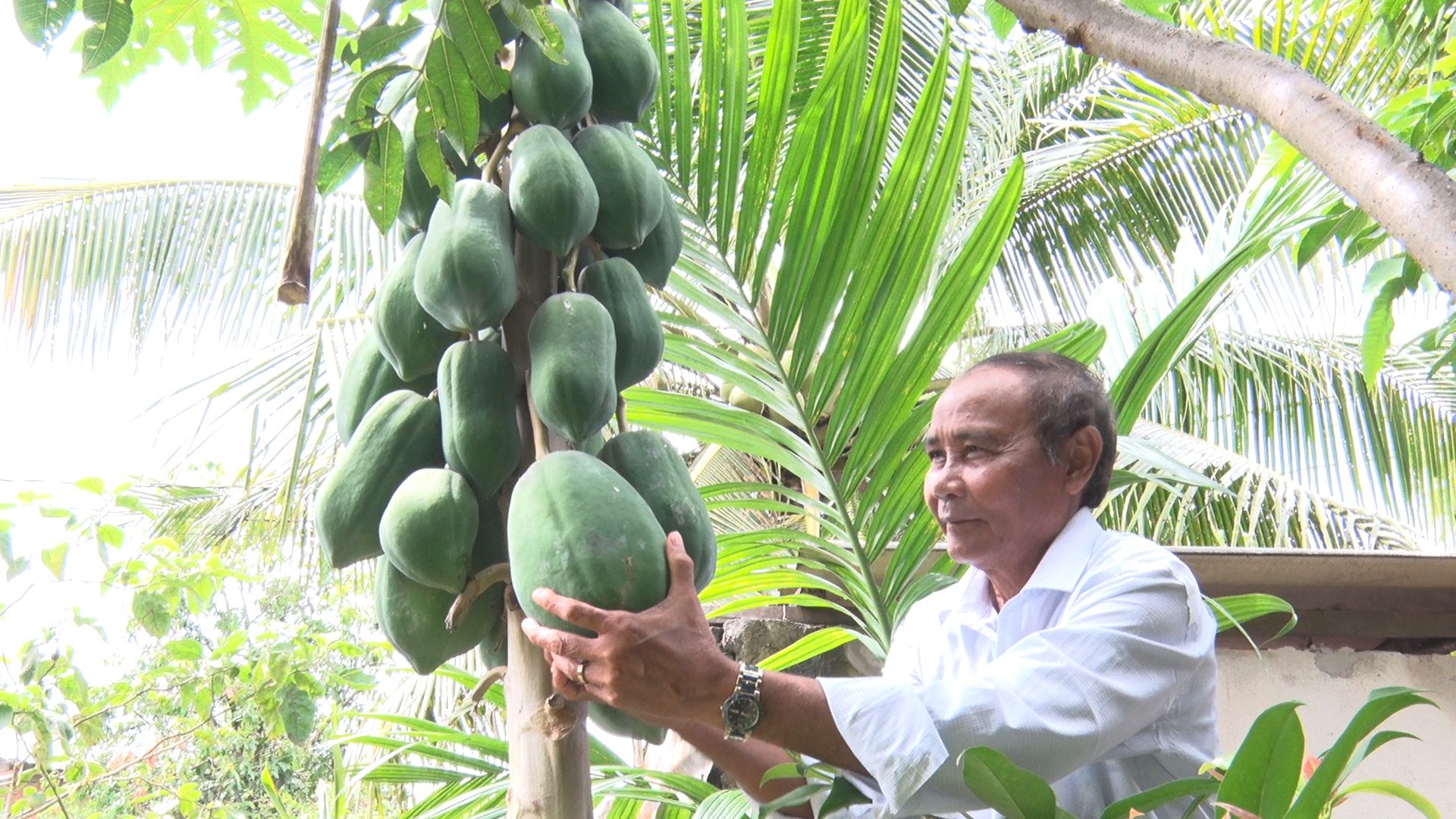 Phát huy vai trò già làng, người có uy tín 