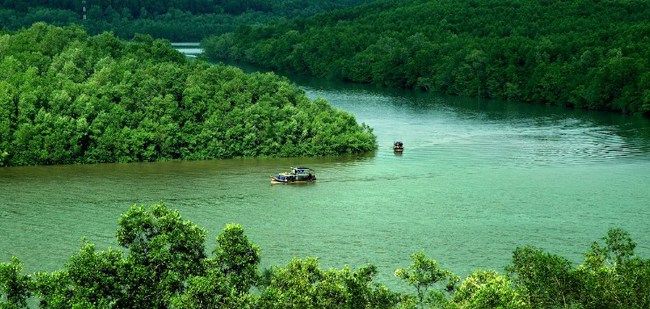 Triển lãm "Tuần Văn hóa Du lịch Di sản xanh - Nơi gặp gỡ con người và thiên nhiên"