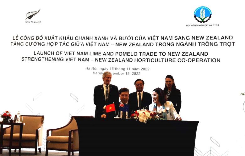 Chanh xanh và bưởi của Việt Nam chính thức được xuất khẩu sang New Zealand