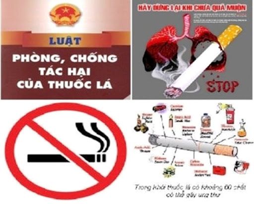 Quảng Ninh: Nâng cao trách nhiệm người đứng đầu trong tổ chức thực hiện Luật Phòng, chống tác hại của thuốc lá