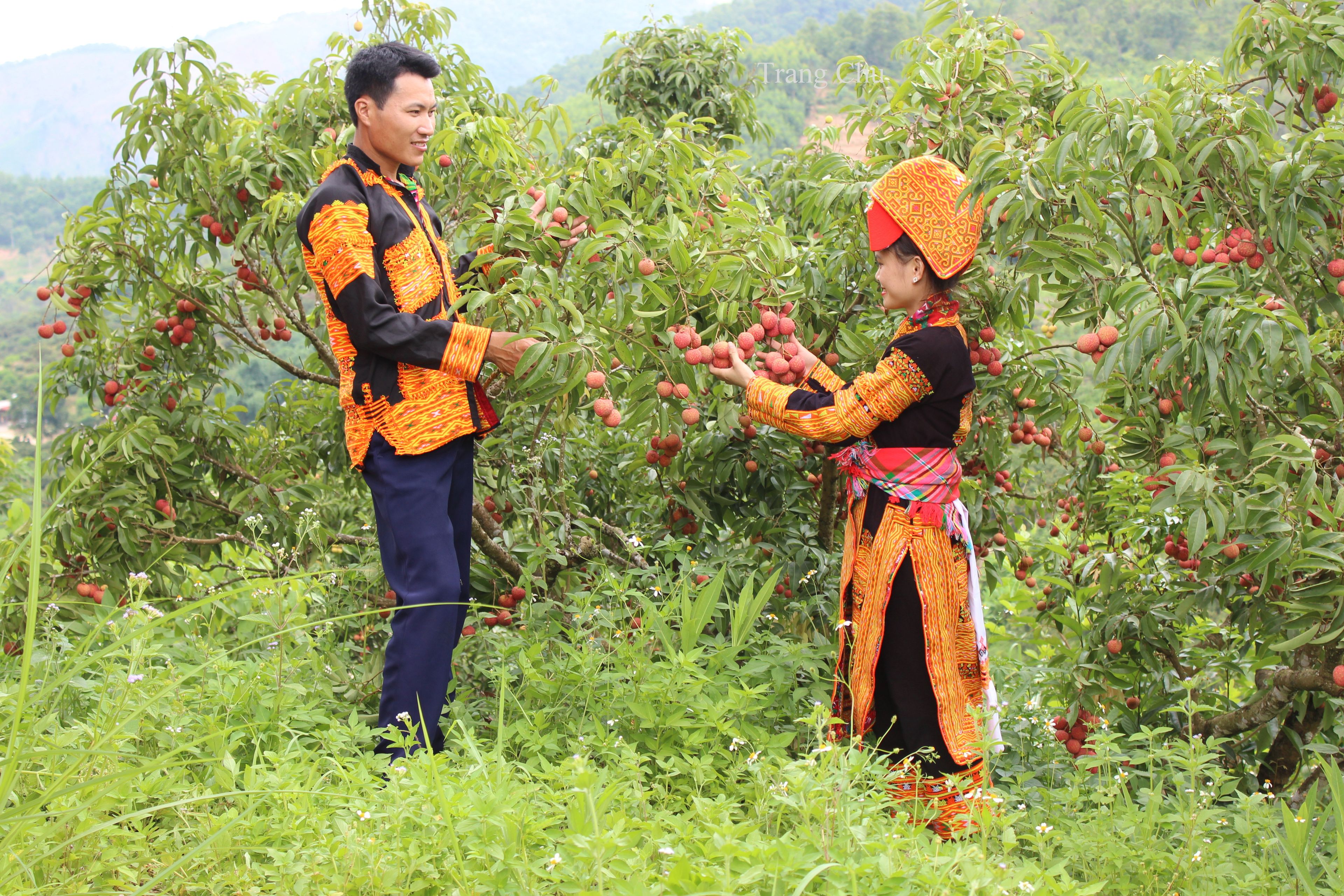 Bắc Giang: Thúc đẩy bình đẳng giới trong đồng bào dân tộc thiểu số