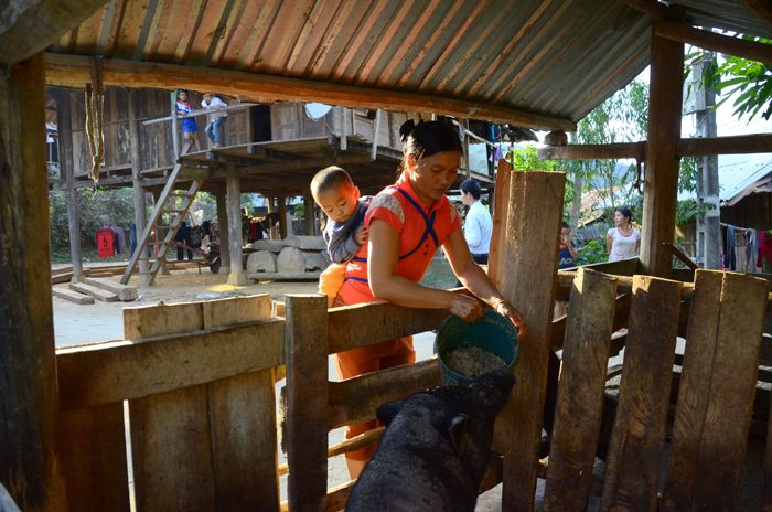 Phòng, chống suy dinh dưỡng trẻ em vùng dân tộc thiểu số và miền núi