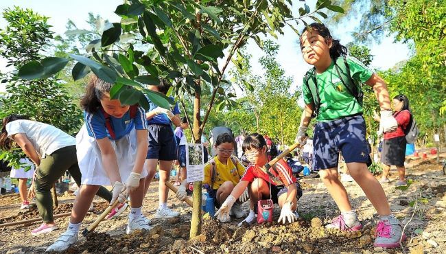  Thúc đẩy các giải pháp bảo vệ môi trường trong trường học