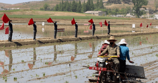 Đảng Lao động Triều Tiên dự kiến bàn quyết sách phát triển nông nghiệp