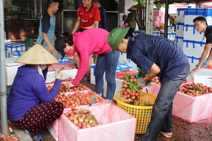 Kỳ vọng xuất khẩu nông sản trong năm 2023 