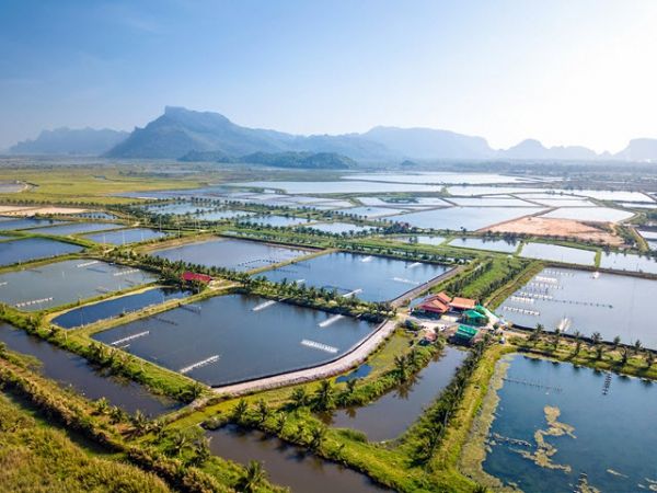 Hỗ trợ người nộp thuế thụ hưởng chính sách giảm tiền thuê đất, thuê mặt nước