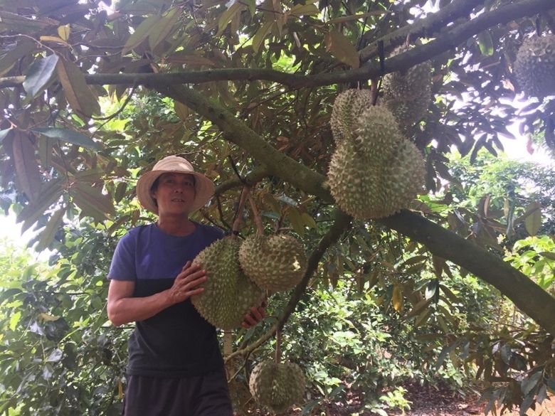 Xuất khẩu nông sản sang Trung Quốc: Nắm chắc và đáp ứng những yêu cầu mới 