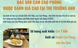 Đặc sản cam Cao Phong được đánh giá cao tại thị trường Anh