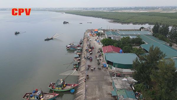 BẢN TIN THỜI SỰ NGÀY 11/3/2023