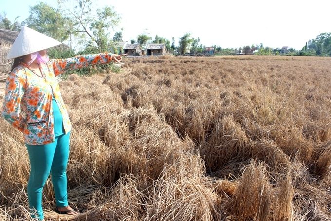 Chủ động ứng phó với xâm nhập mặn tại Đồng bằng sông Cửu Long