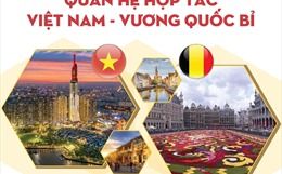 Quan hệ hợp tác Việt Nam - Vương quốc Bỉ