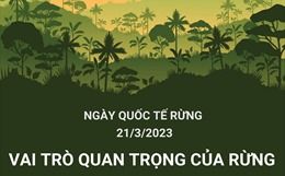 Ngày quốc tế Rừng 21/3/2023: "Rừng và Sức khỏe"