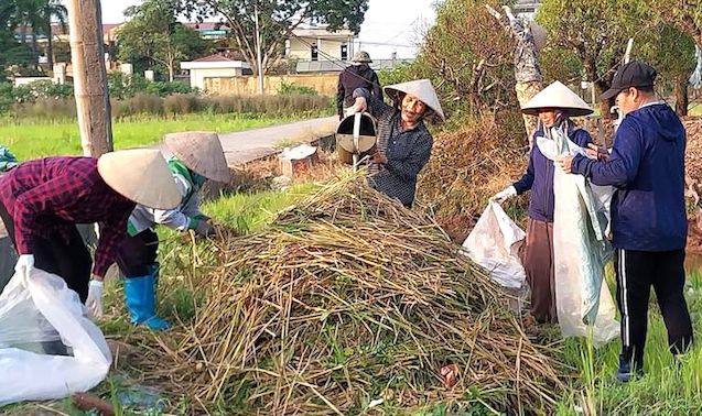 Phụ nữ tham gia xử lý rơm, rạ sau thu hoạch