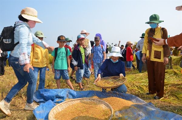 Lễ hội tôn vinh nghề trồng lúa nước Quảng Ngãi