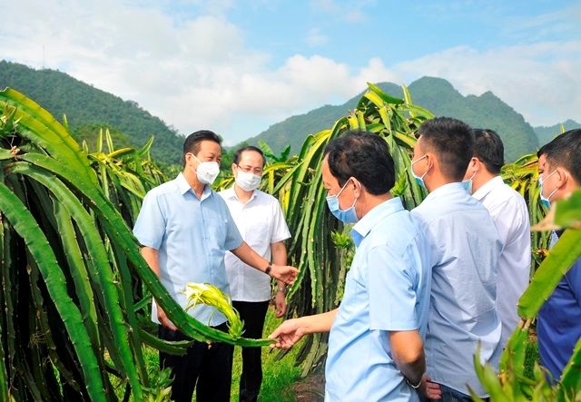 Bài 3: Bắc Quang: Cấp ủy, chính quyền cùng tham gia xây dựng nông thôn mới