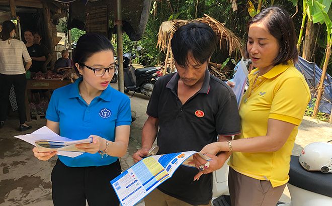 Yên Bái: Phấn đấu hoàn thành chỉ tiêu phát triển người tham gia BHXH, BHYT, BHTN