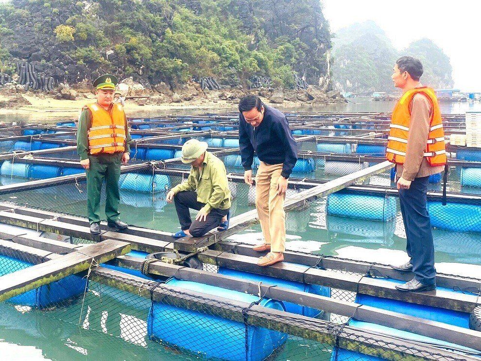 Vì một tuyến biên giới biển bình yên, phát triển