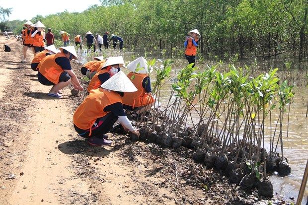 Trà Vinh: Dành 14 tỷ đồng khắc phục sạt lở đê điều 