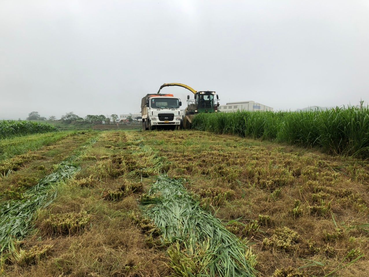 Kịp thời triển khai thực hiện các quy định của pháp luật đất đai