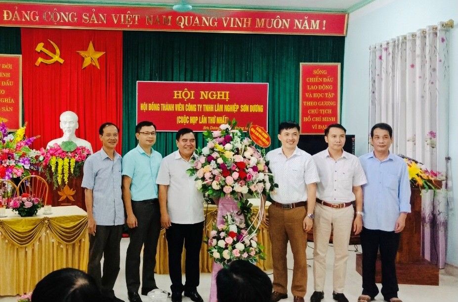 Công ty TNHH Lâm nghiệp Sơn Dương nỗ lực sản xuất, kinh doanh hiệu quả, bền vững