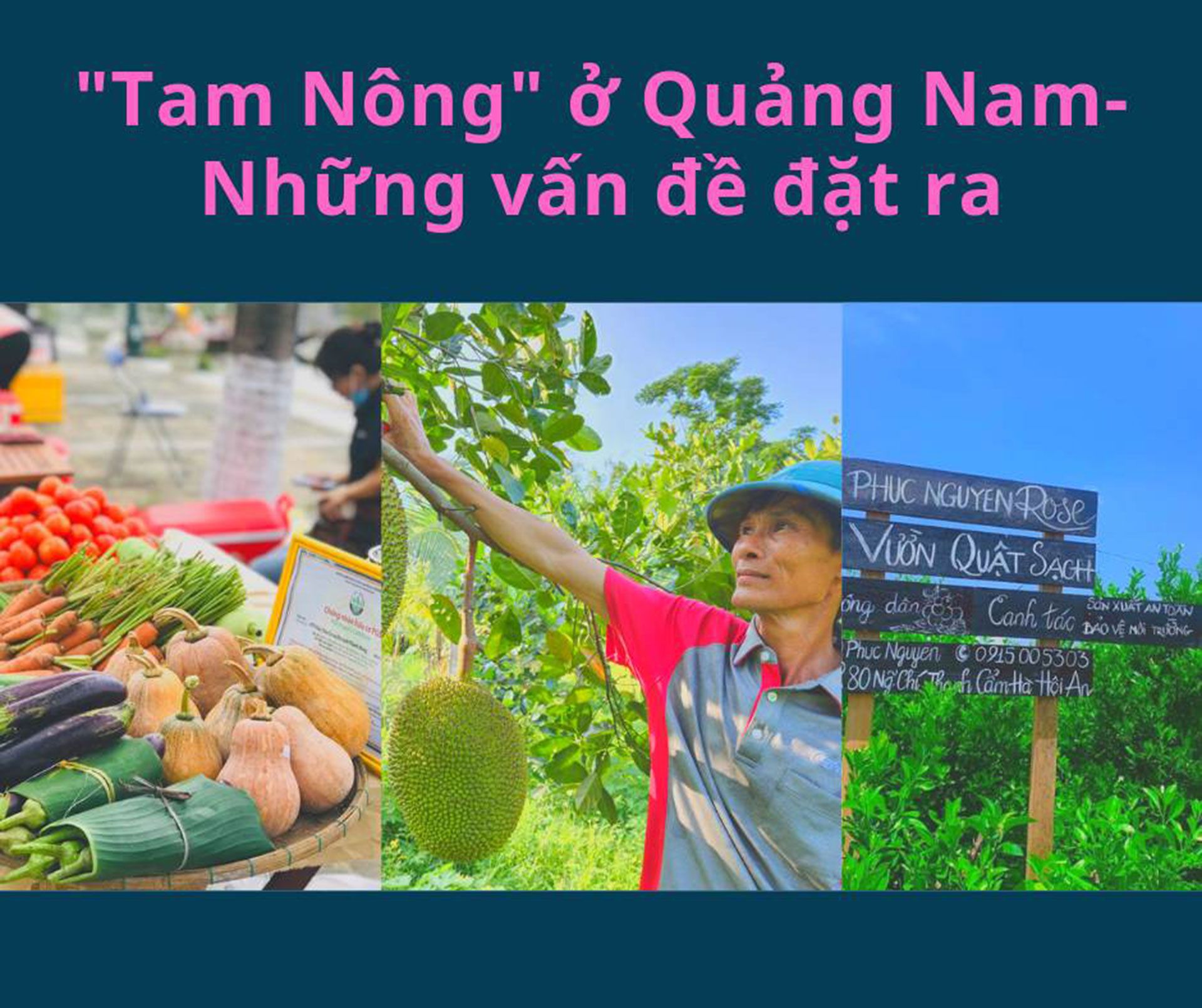 Bài 4: Cần nhân rộng những “Điểm sáng” trong kinh tế Nông thôn mới ở Quảng Nam