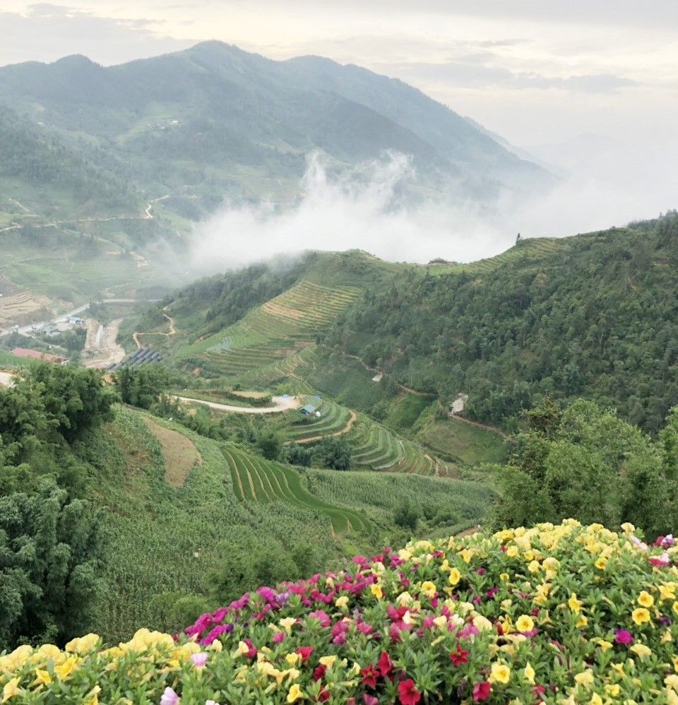 Nét đẹp chấm phá nơi phố núi “mù sương” Sa Pa