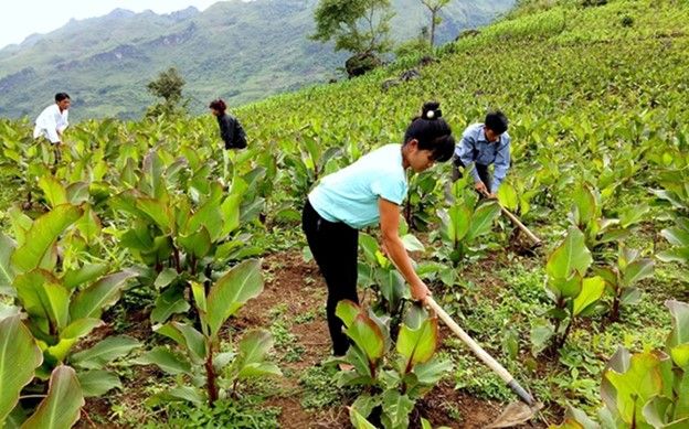 Một số địa phương đổi mới phương thức tuyên truyền kiến thức về bảo vệ môi trường