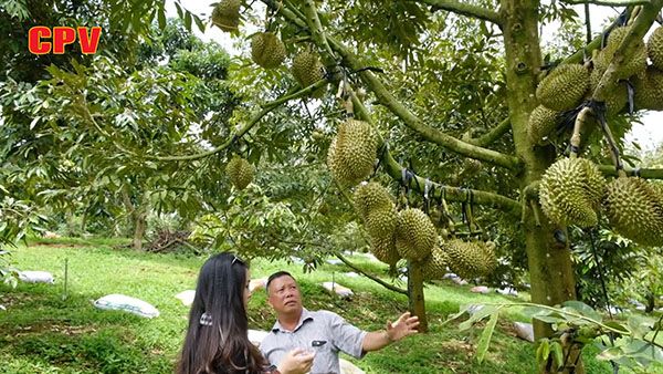 BẢN TIN THỜI SỰ NGÀY 24/7/2023