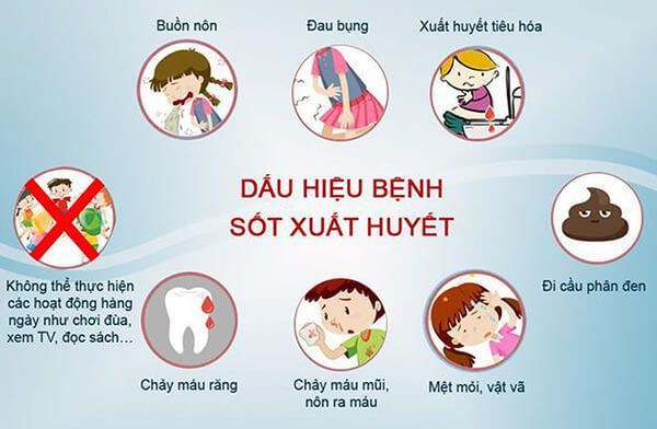 Sóc Trăng: Gia tăng số ca mắc sốt xuất huyết