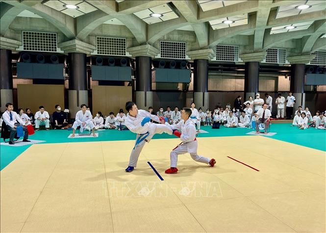 Tưng bừng giải đấu Karate của người Việt tại Nhật Bản