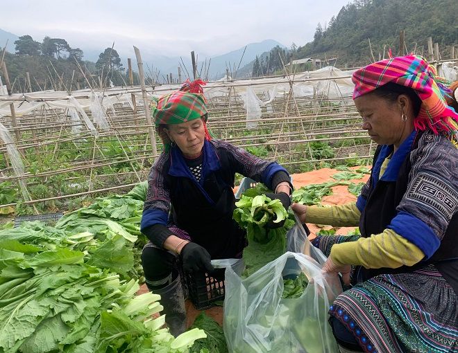 Yên Bái: Tỷ lệ hộ nghèo vùng đồng bào DTTS&MN giảm bình quân 7,66%