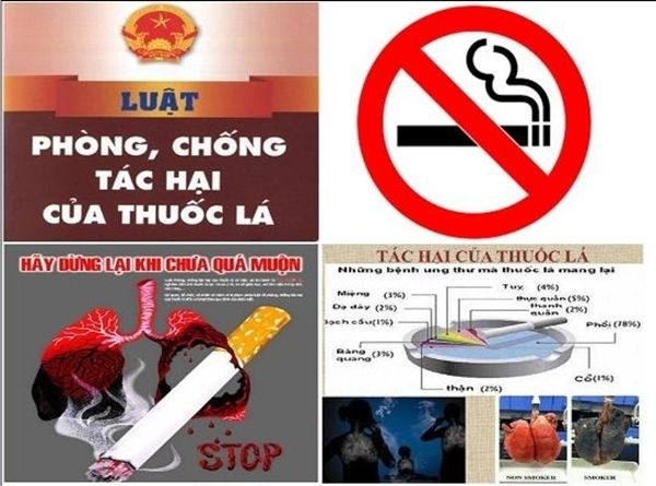 Đắk Lắk: Trung tâm Kiểm soát bệnh tật đẩy mạnh các hoạt động phòng, chống tác hại thuốc lá tại đơn vị