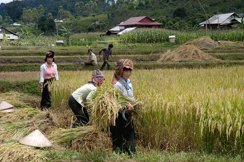 Hạn chế tác động của biến đổi khí hậu đến bình đẳng giới vùng dân tộc thiểu số