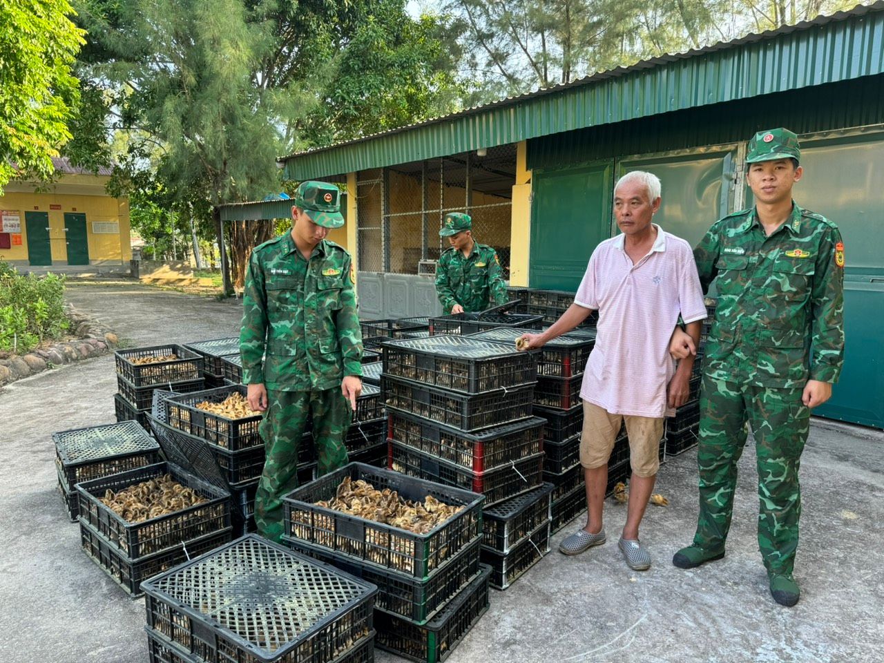 Đồn Biên phòng Trà Cổ: Bắt giữ nhiều vụ vi phạm trên biển