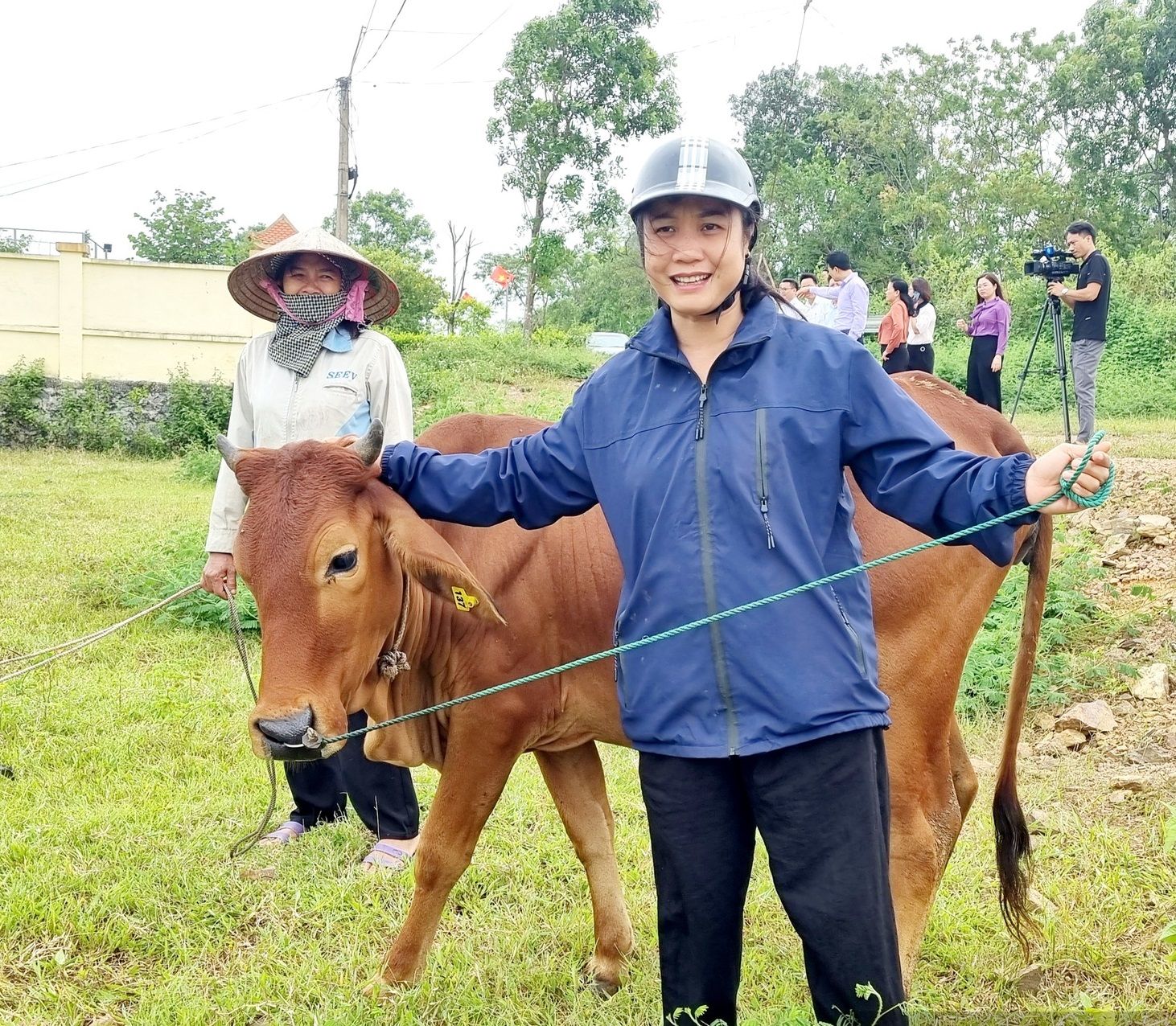 Ninh Bình: Phát triển mô hình nuôi bò theo chuỗi giá trị