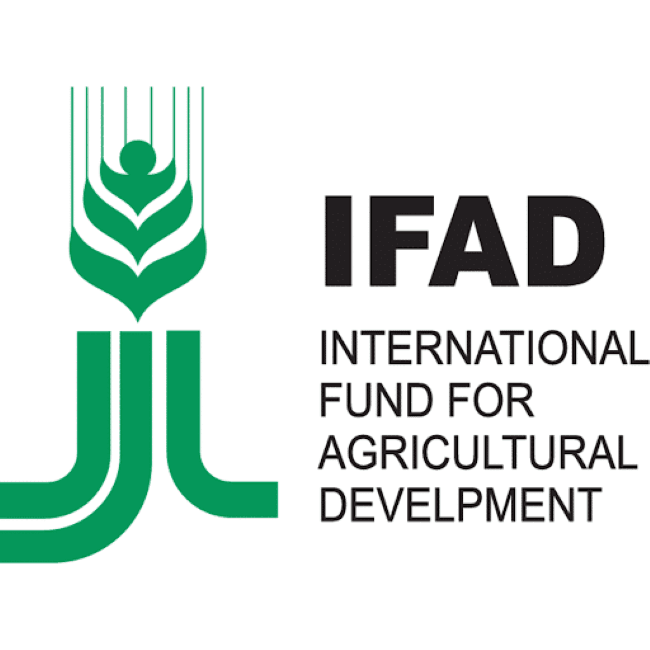 30 năm hợp tác giữa IFAD và Việt Nam giúp cải thiện đời sống người dân nông thôn 