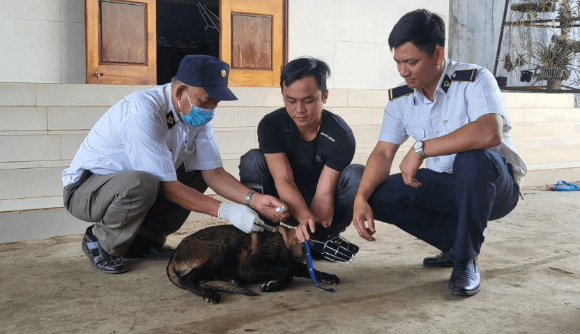 Đắk Lắk ghi nhận trường hợp thứ 4 tử vong vì bệnh dại