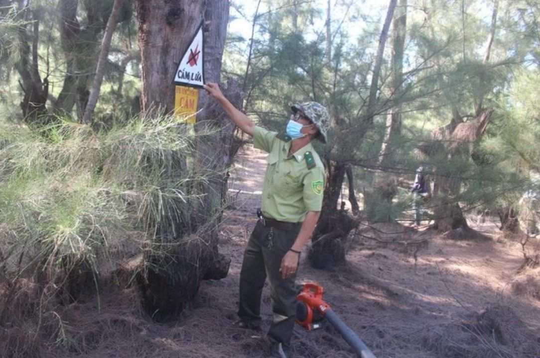 Khởi tố cựu Giám đốc Ban quản lý rừng phòng hộ huyện Phù Mỹ