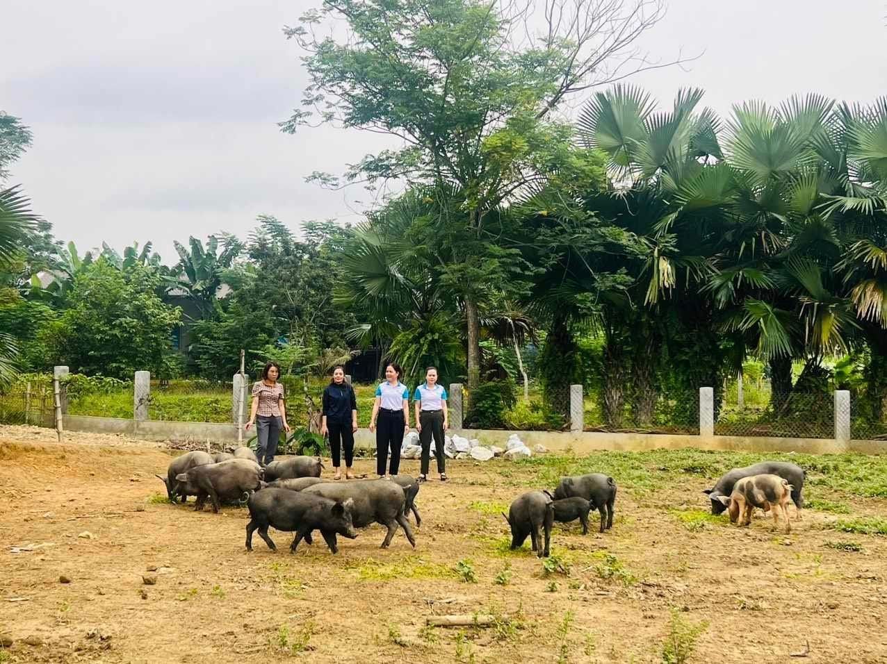 Nghệ An: Thúc đẩy phụ nữ dân tộc thiểu số tham gia hoạt động xã hội