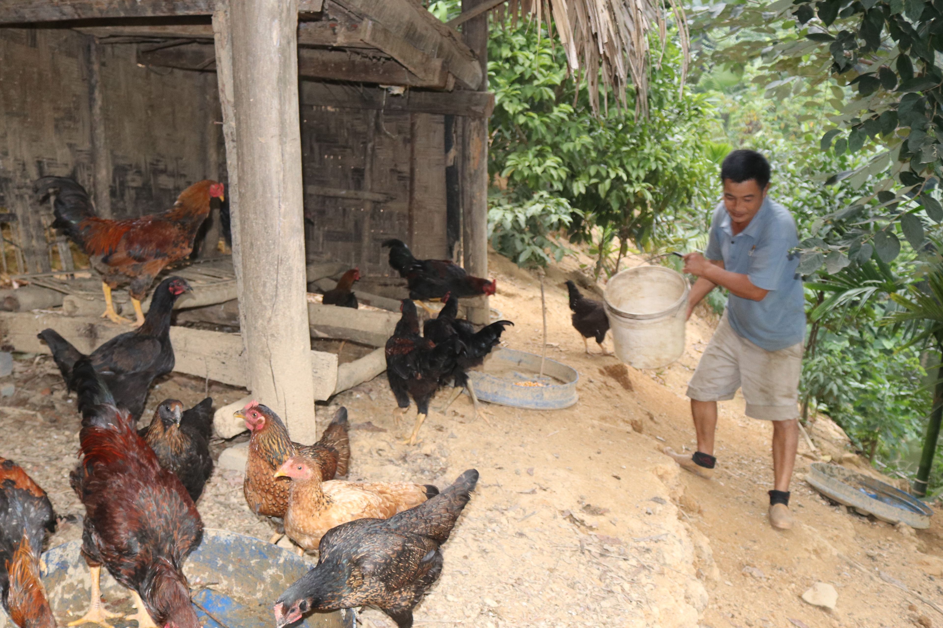 Vai trò người có uy tín trong phát triển kinh tế ở huyện Ngân Sơn