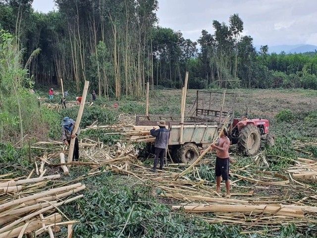 Khánh Hòa ghi nhận trên 190 ca sốt rét trong năm 2023