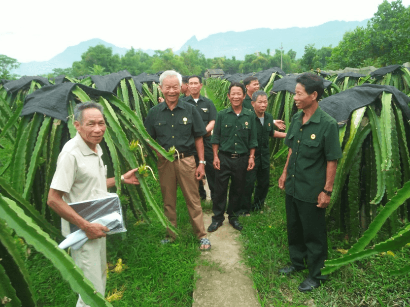 Người có uy tín tiên phong làm kinh tế giỏi 