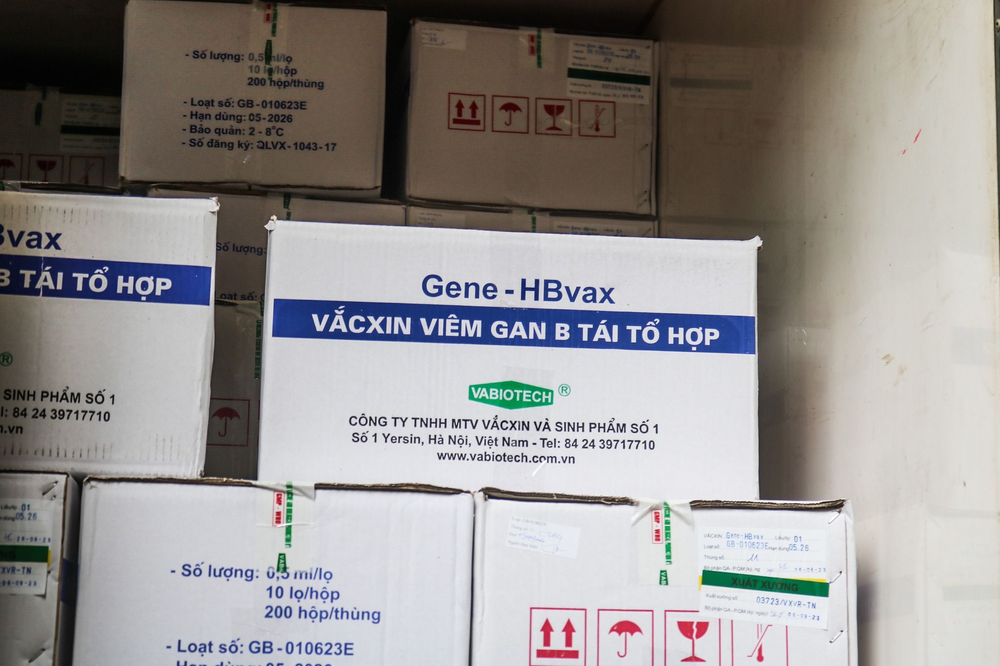 Đã đủ 10 loại vaccine phục vụ tiêm chủng ngay từ đầu tháng 1/2024